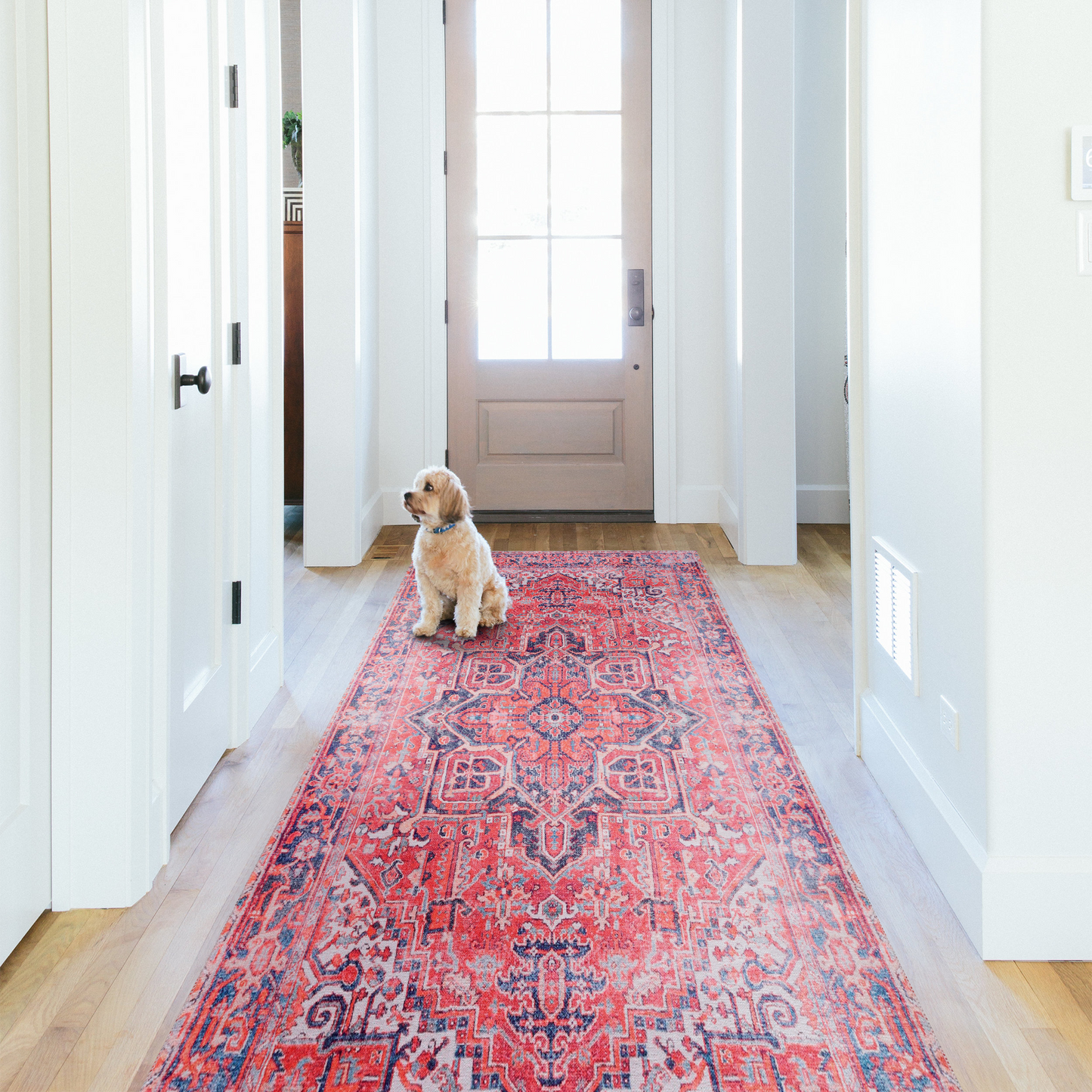 RWNL1001 washable runner rug in a modern hallway