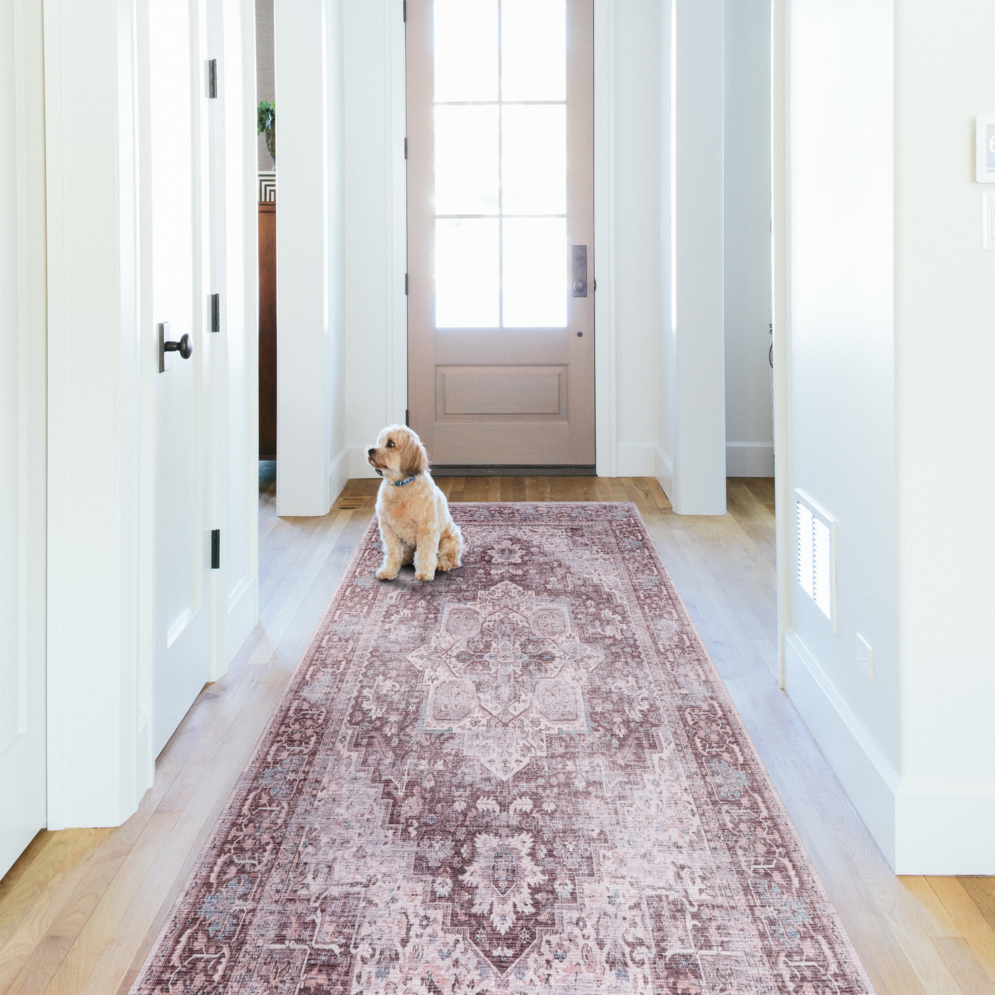 RWNL1013 washable runner rug in a modern hallway